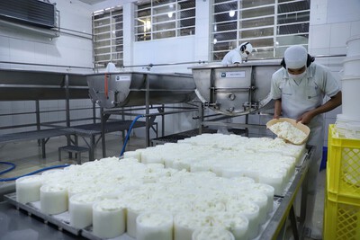 PreÃ§o de referÃªncia do Conseleite â€“ PR tem baixa de 10 centavos por litro de leite pago ao produtor (02/2021)